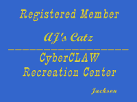 CyberCLAW Rec Center