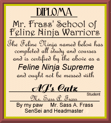 Mr. Frass' School of Ninja Diploma