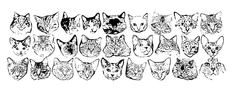 Kitty Print Character Set
